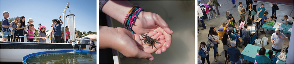 student pulling out a fish, hands holding a crab and birds eye view of people talking