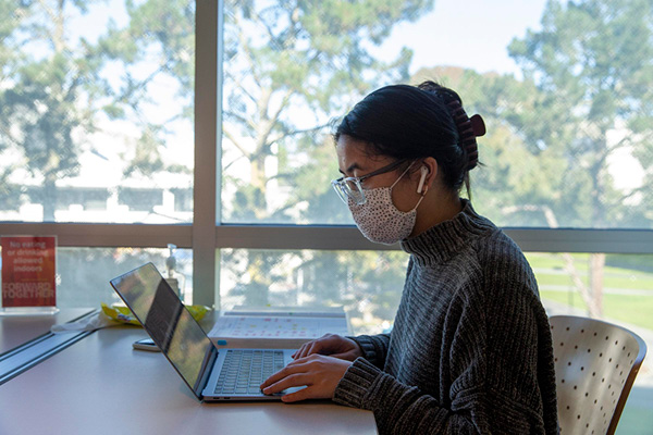 Woman working on her laptop