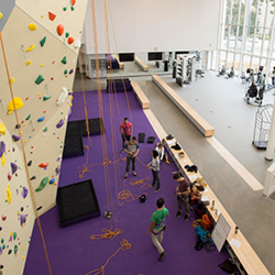 Rock climbing wall