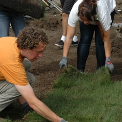 Two people laying sod